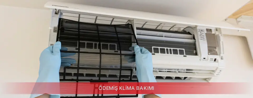 Ödemiş İlçemi Regal Klima Bakımı