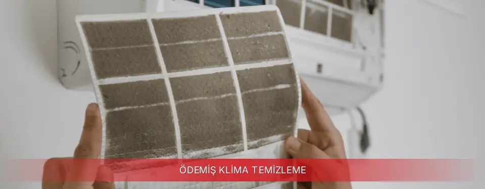 Ödemiş İlçemi Regal Klima Temizleme